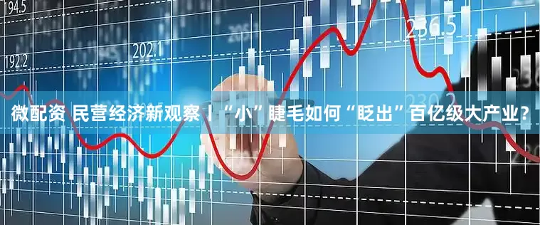 微配资 民营经济新观察丨“小”睫毛如何“眨出”百亿级大产业？