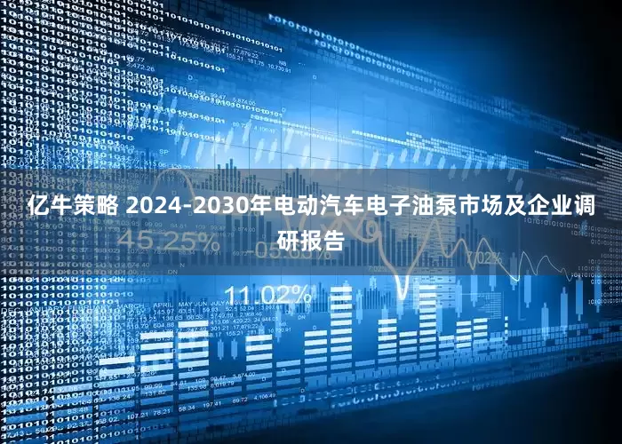 亿牛策略 2024-2030年电动汽车电子油泵市场及企业调研报告