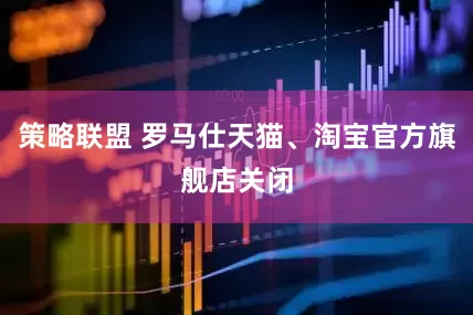 策略联盟 罗马仕天猫、淘宝官方旗舰店关闭
