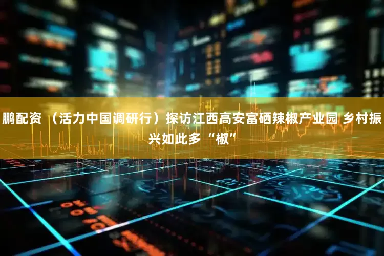 鹏配资 （活力中国调研行）探访江西高安富硒辣椒产业园 乡村振兴如此多 “椒”