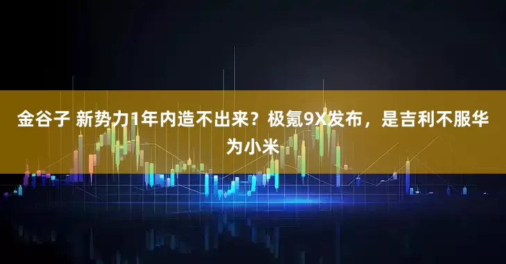 金谷子 新势力1年内造不出来？极氪9X发布，是吉利不服华为小米