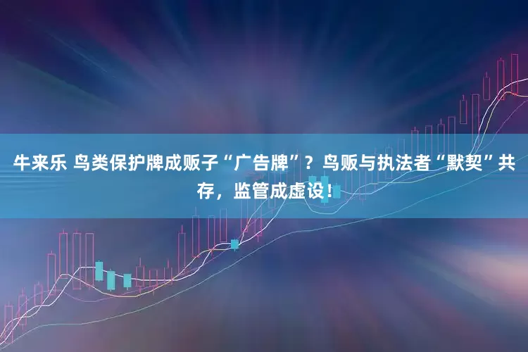 牛来乐 鸟类保护牌成贩子“广告牌”？鸟贩与执法者“默契”共存，监管成虚设！