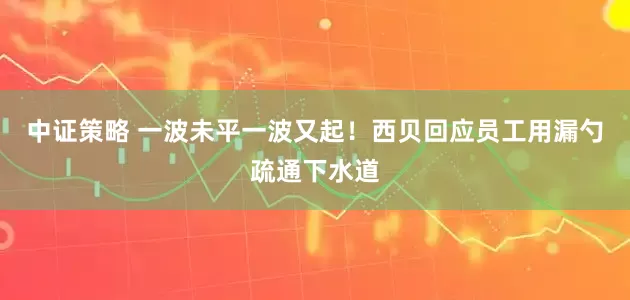 中证策略 一波未平一波又起！西贝回应员工用漏勺疏通下水道