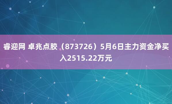 睿迎网 卓兆点胶（873726）5月6日主力资金净买入2515.22万元