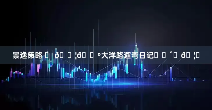 景逸策略 ꩜ 🇦🇺大洋路遛弯日记⋆｡˚☾🦘